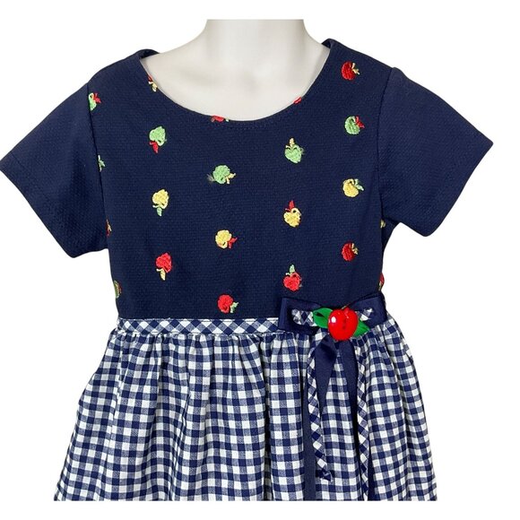 Rare Editions Short Sleeve Blue Gingham Apple Embroid Bodice Girls VTG Dress 6 - Picture 2 of 7